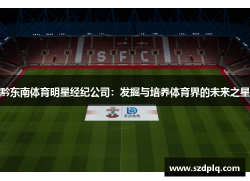 黔东南体育明星经纪公司：发掘与培养体育界的未来之星