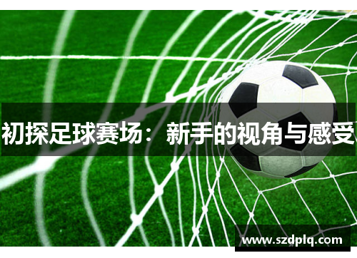 初探足球赛场：新手的视角与感受