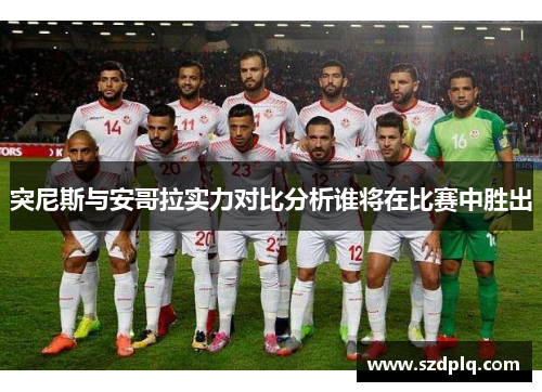 突尼斯与安哥拉实力对比分析谁将在比赛中胜出